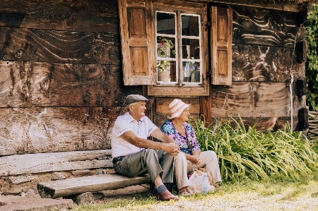 Tree sitting house vacation Photo