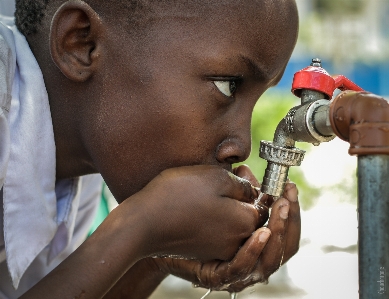 Water drinking ear Photo