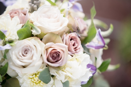 Flower bouquet arranging floristry Photo