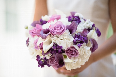 Flower bouquet arranging purple Photo