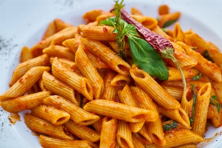 Foto Macarrão penne
 prato cozinha comida italiana
