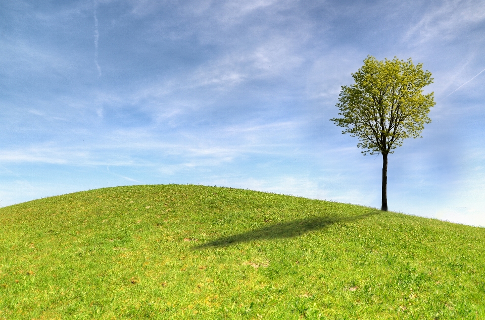 Sky grassland nature green