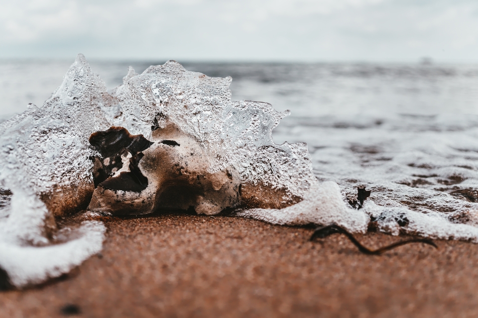 海浪 水 沙 冷冻