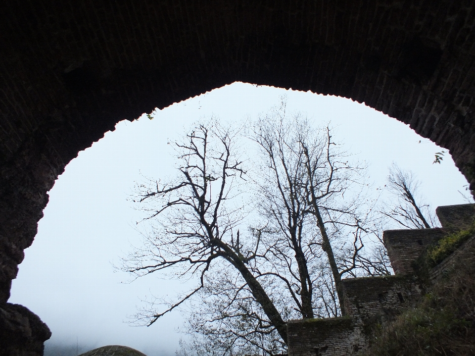 Nature l'iran château gilan
