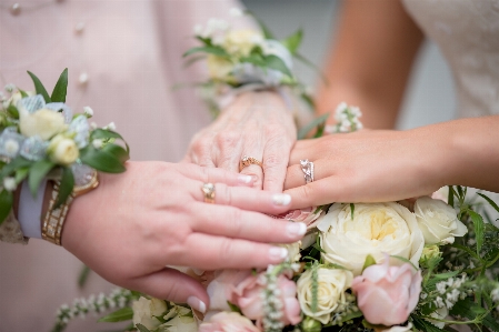 Flower bouquet arranging floristry Photo