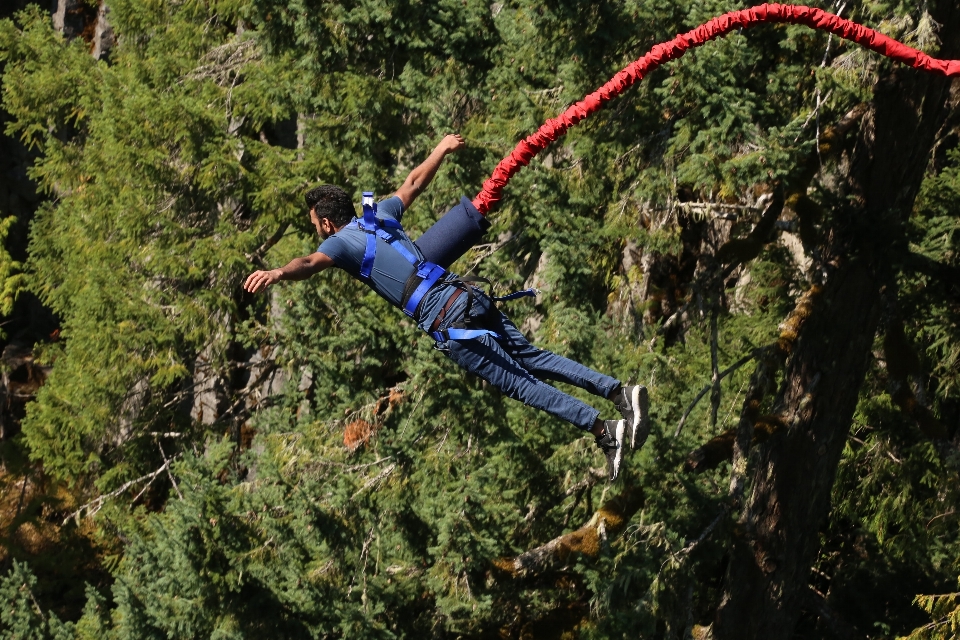 Aventure loisirs de plein air
 arbre saut à l'élastique
