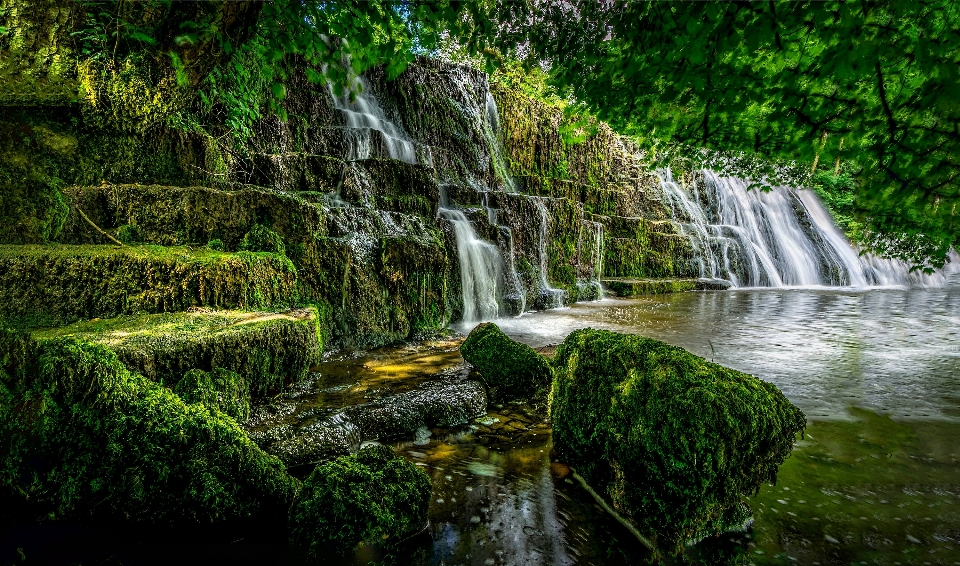 Waterfall water nature vegetation