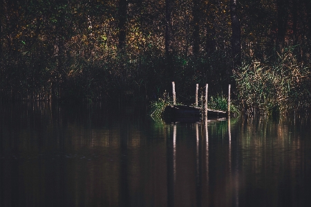 Reflection water nature tree Photo