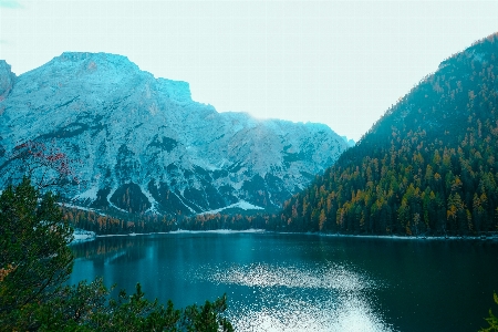 Natur wasser grün berg Foto