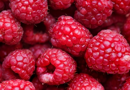 Foto Alimentos naturales
 frambuesa baya fruta