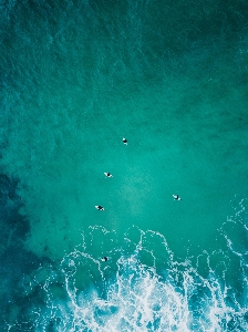 水 緑 水域
 海 写真