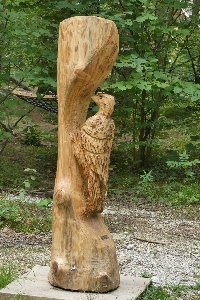 Wood carving woodpecker art cutting Photo