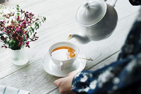 Cup coffee tableware tea Photo