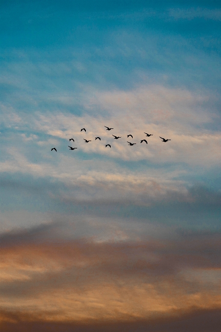 Sky atmosphere daytime cloud