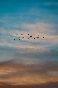 Sky atmosphere daytime cloud Photo