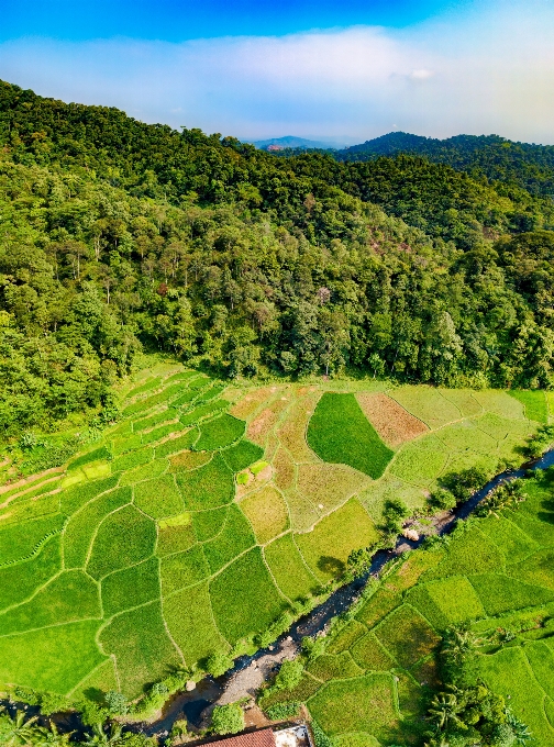 Bitki örtüsü alan doğa rezervi
 hava fotoğrafçılığı
