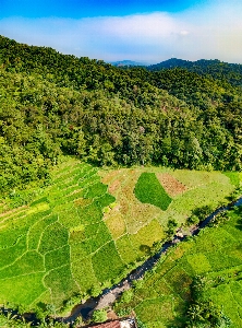 植生 分野 自然保護区
 航空写真
 写真