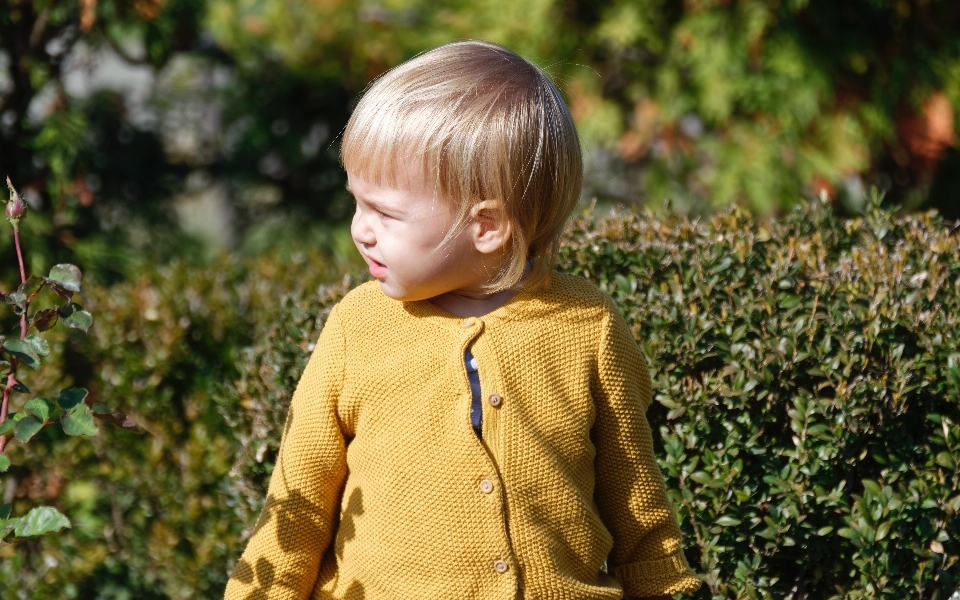 Yellow child leaf grass