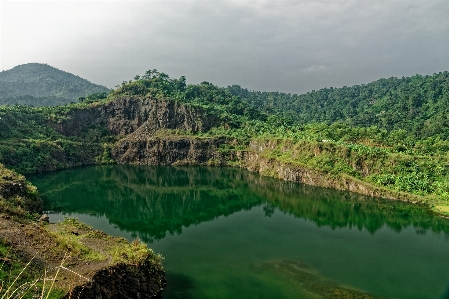 Nature vegetation reserve water resources Photo