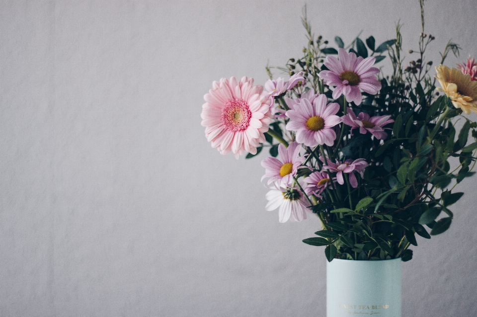 Fiore mazzo tagliare i fiori
 rosa