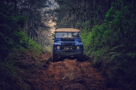 Foto Off road
 kendaraan reli keteraturan
