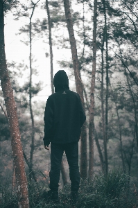 Foto Orang-orang di alam
 pohon foto alam