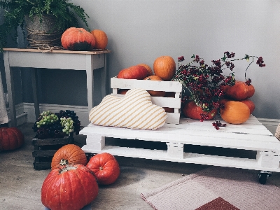 Pumpkin orange furniture shelf Photo