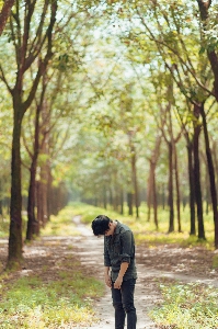 People in nature photograph tree Photo