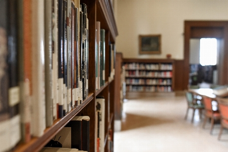 Library building property bookcase Photo