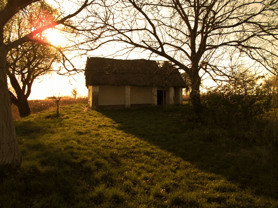 Agriturismo
 casa tramonto albero