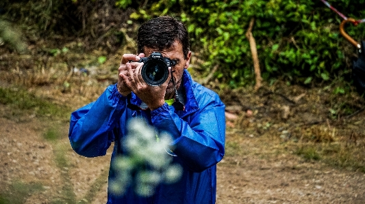 Foto Fotografia óptica de câmeras
 botânica
 árvore