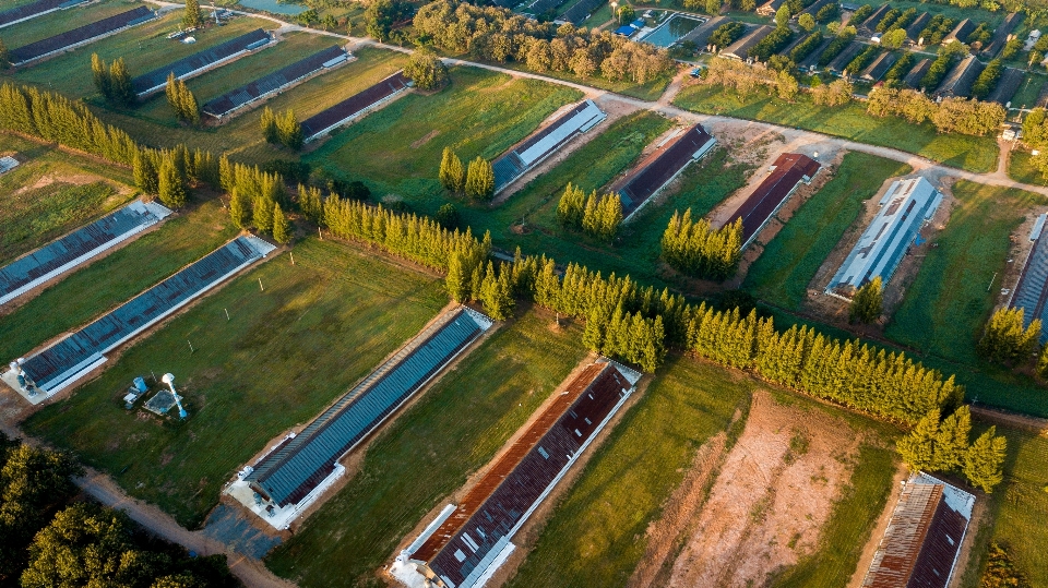 Bird's eye view aerial photography landscape land lot