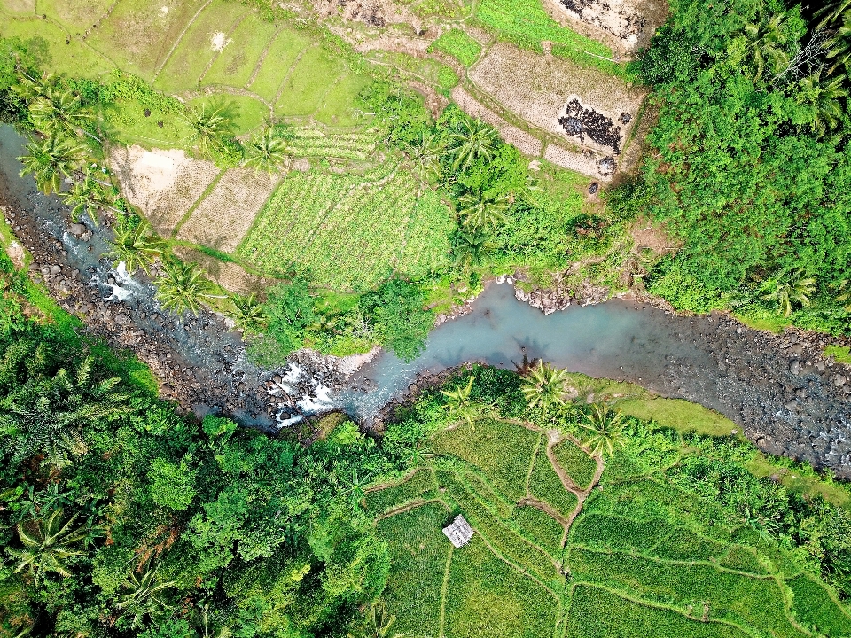 Aerial photography tree geological phenomenon grass