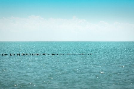 Foto Corpo d'acqua
 orizzonte mare blu