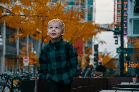 Plaid people leaf pattern Photo