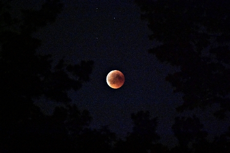 Moon sky nature celestial event Photo