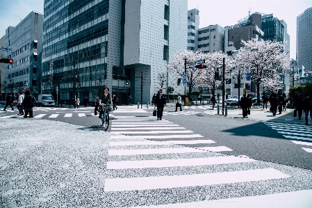 Foto Attraversamento pedonale
 strisce pedonali
 strada pedone