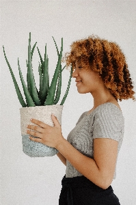 Foto Vaso de flores plantar babosa
 planta casa