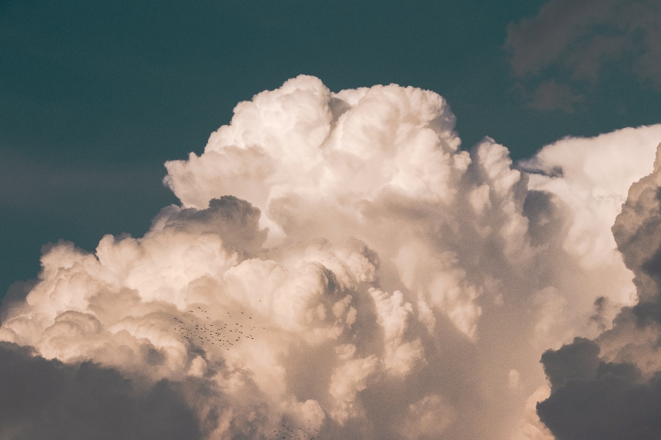 Cloud sky cumulus daytime