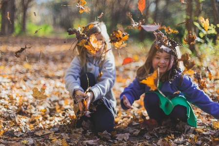 Foto Gente en la naturaleza
 hoja otoño árbol