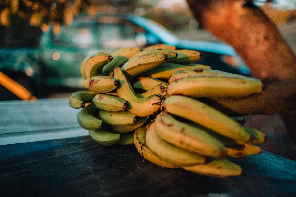 Banan do gotowania
 saba banan
 rodzina bananów
