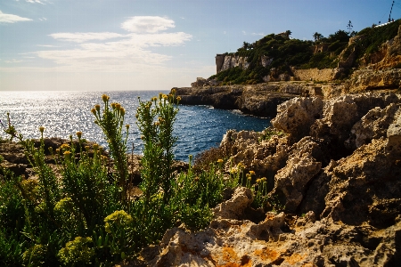 Body of water coast sea vegetation Photo