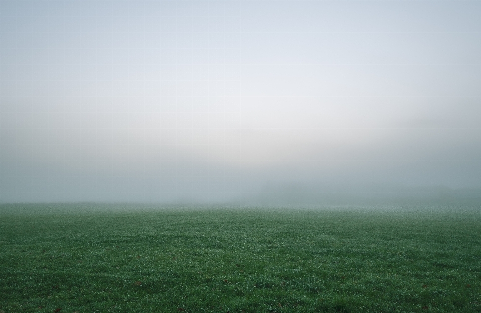 Mist haze green atmospheric phenomenon