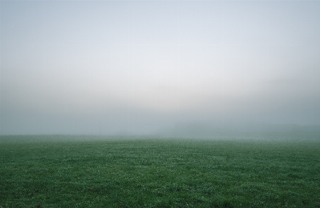 Mist haze green atmospheric phenomenon Photo