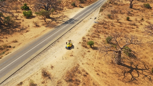 Road yellow soil tree Photo