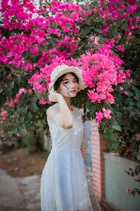 Pink white photograph beauty Photo