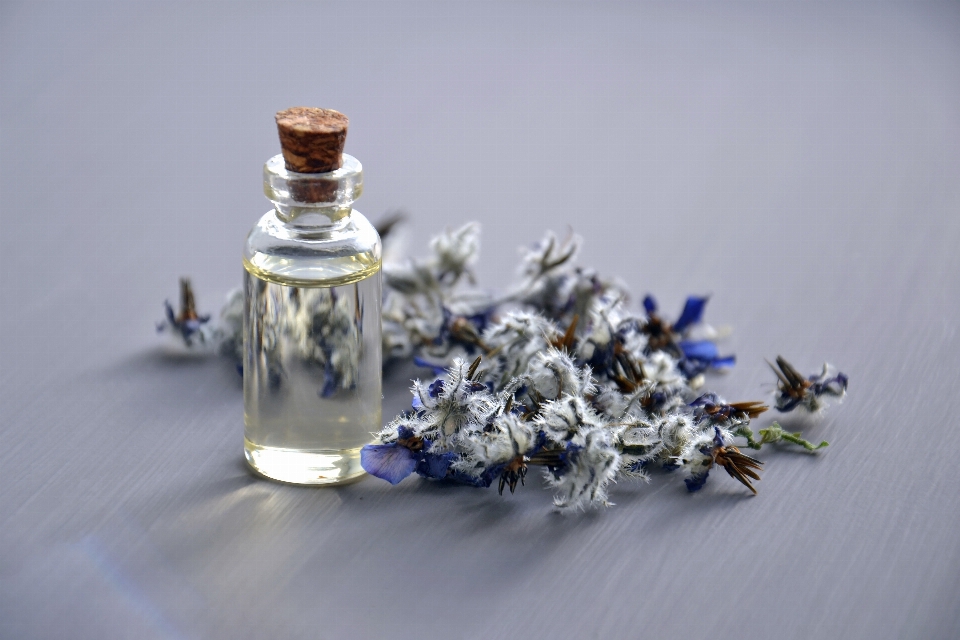 Blue product lavender flower