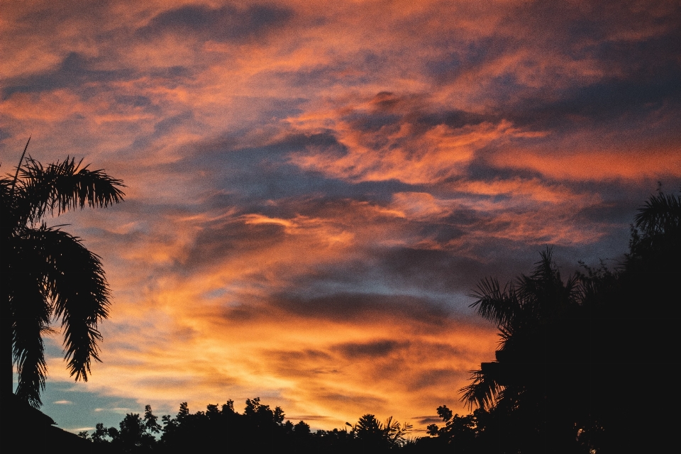 Sky cloud afterglow sunset