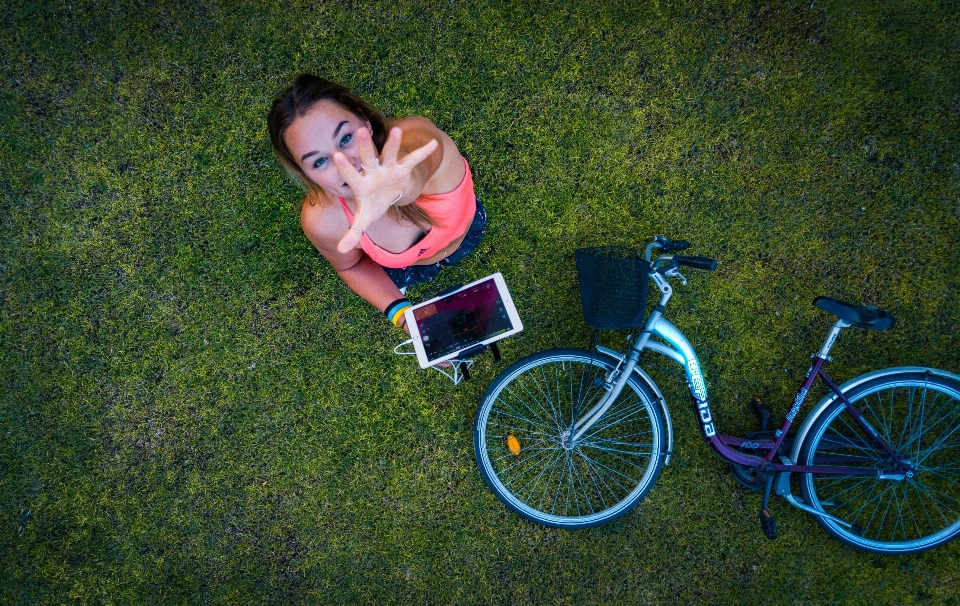 Bicicletta ruota di bicicletta
 erba accessorio per