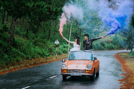 Photo Véhicule rallye de régularité
 voiture arbre